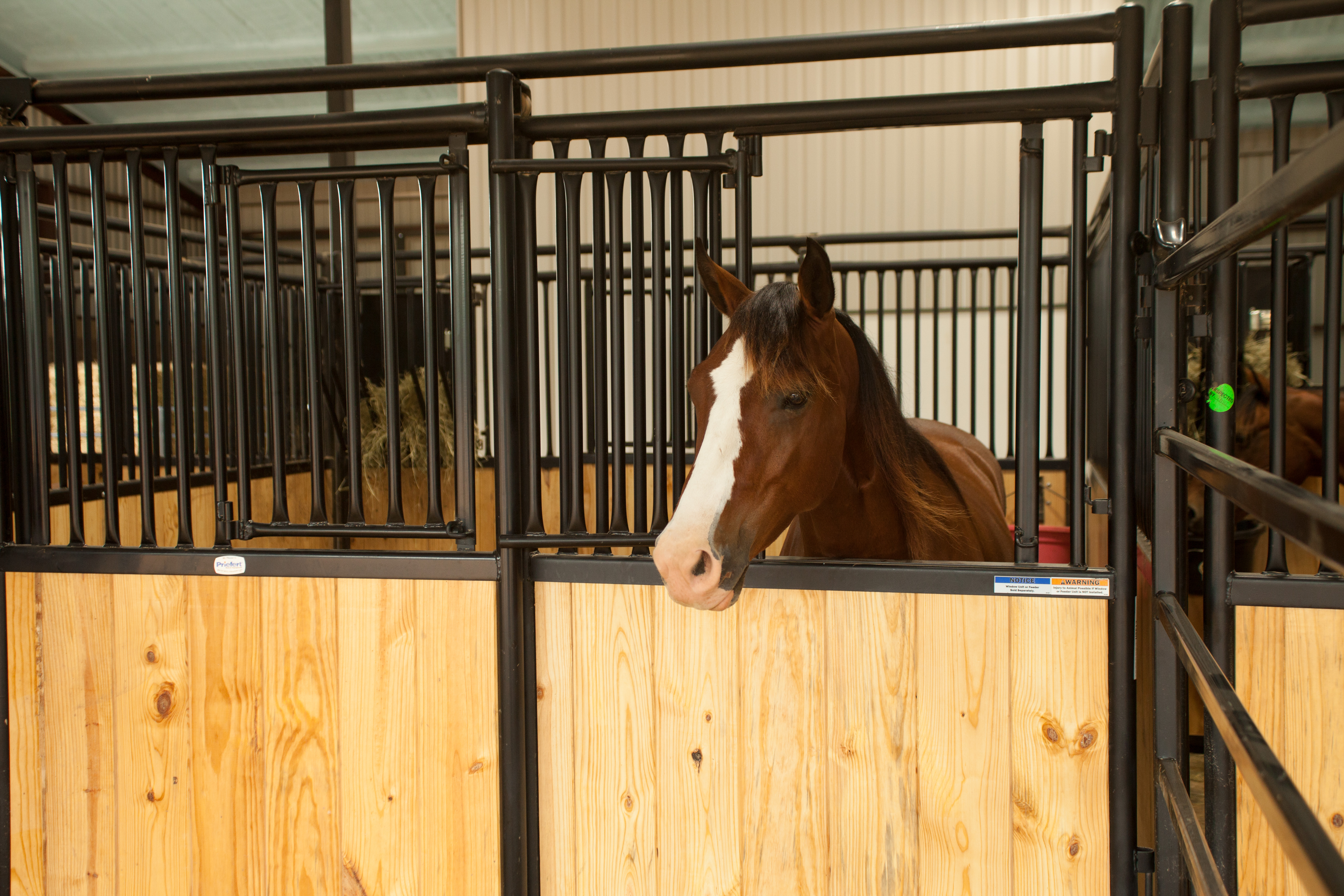HSF HorseStalls Bynum 16.jpg